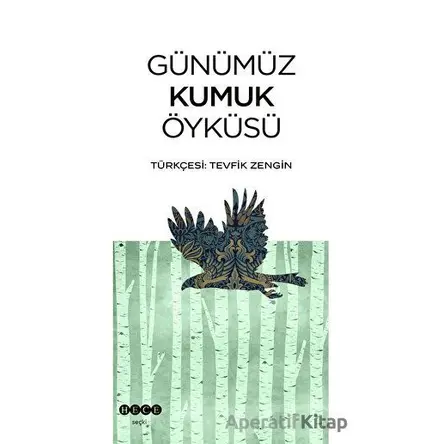 Günümüz Kumuk Öyküsü - Kolektif - Hece Yayınları