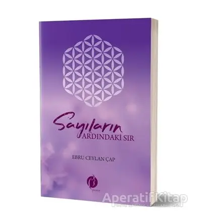 Sayıların Ardındaki Sır - Ebru Ceylan Çap - Herdem Kitap