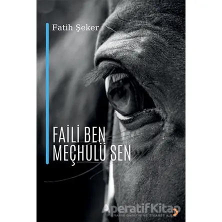 Faili Ben Meçhulü Sen - Fatih Şeker - Cinius Yayınları