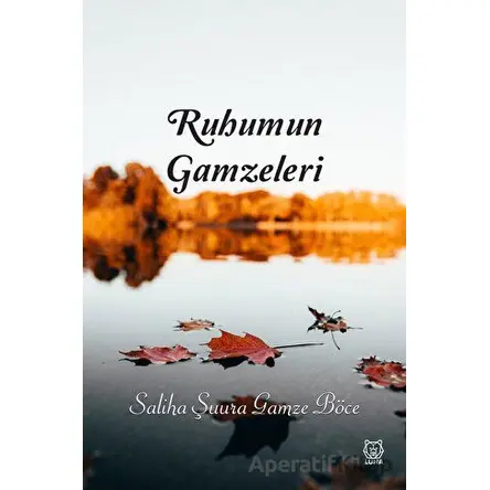 Ruhumun Gamzeleri - Saliha Şuura Gamze Böce - Luna Yayınları