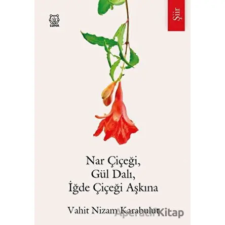 Nar Çiçeği, Gül Dalı, İğde Çiçeği Aşkına - Vahit Nizam Karabulut - Luna Yayınları