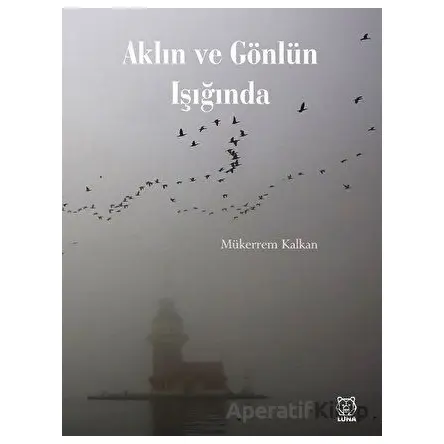Aklın ve Gönlün Işığında - Mükerrem Kalkan - Luna Yayınları