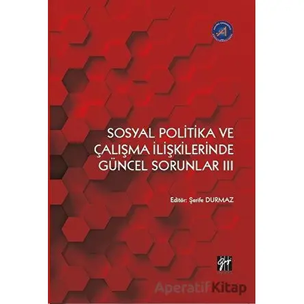 Sosyal Politika ve Çalışma İlişkilerinde Güncel Sorunlar III - Kolektif - Gazi Kitabevi