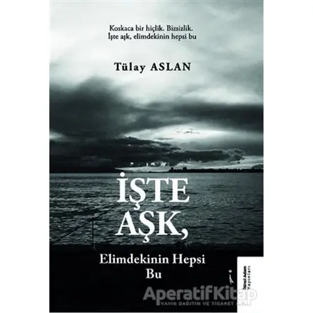 İşte Aşk, Elimdekinin Hepsi Bu - Tülay Aslan - İkinci Adam Yayınları