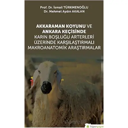 Akkaraman Koyunu ve Ankara Keçisinde Karın Boşluğu Arterleri Üzerinde Karşılaştırmalı Makroanatomik
