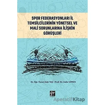 Spor Federasyonları İl Temsilcilerinin Yönetsel ve Mali Sorunlarına İlişkin Görüşleri