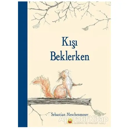 Kışı Beklerken - Sebastian Meschenmoser - Kuraldışı Yayınevi