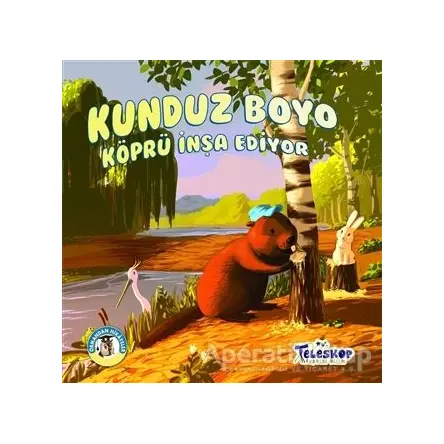 Kunduz Boyo Köprü İnşa Ediyor - Ormandan Hikayeler - Kolektif - Teleskop Popüler Bilim