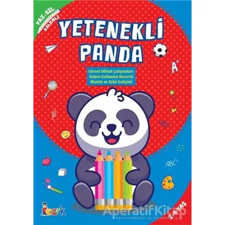 Yetenekli Panda - Yaz-Sil Kalemli - Kolektif - Bıcırık Yayınları