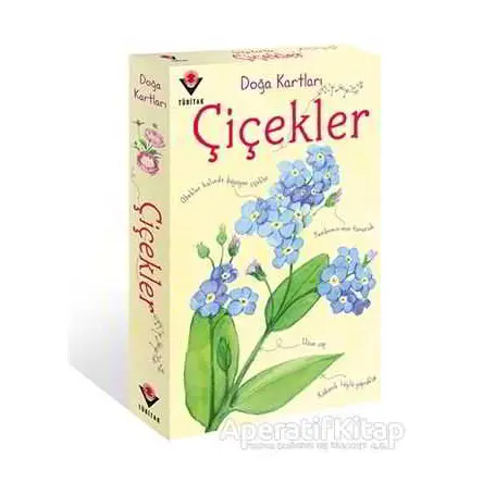 Doğa Kartları - Çiçekler - Emily Bon - TÜBİTAK Yayınları