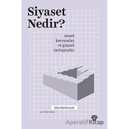Siyaset Nedir? - Iain Mackenzie - Metropolis Yayınları