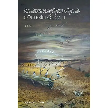 Kahverengiyle Siyah - Gültekin Özcan - Kafe Kültür Yayıncılık