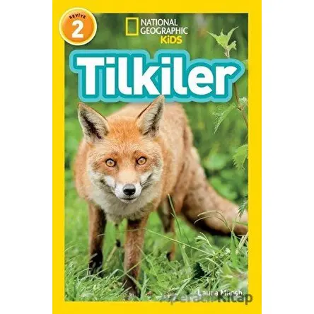 Tilkiler - Seviye 2 - Laura Marsh - Beta Kids