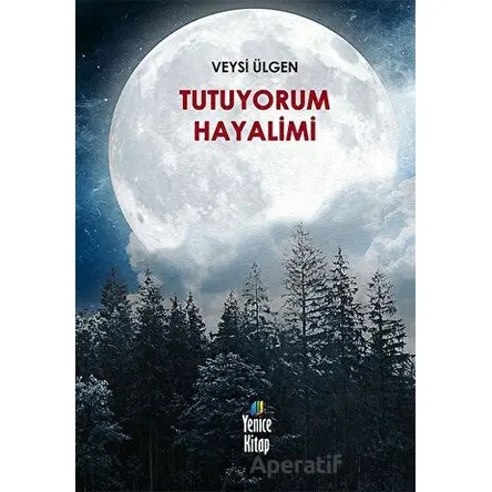Tutuyorum Hayalimi - Veysi Ülgen - El Yayınları