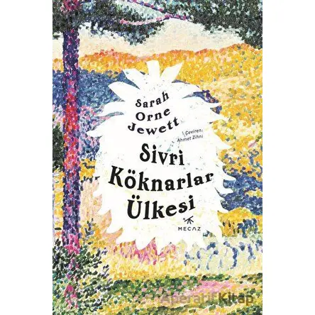 Sivri Köknarlar Ülkesi - Sarah Orne Jewett - Mecaz Yayınları