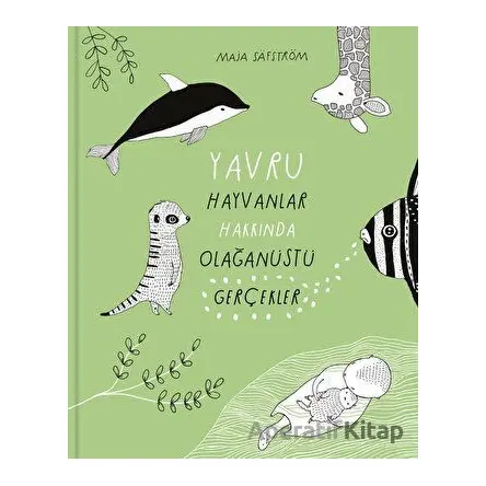 Yavru Hayvanlar Hakkında Olağanüstü Gerçekler - Maja Säfström - MEAV Yayıncılık