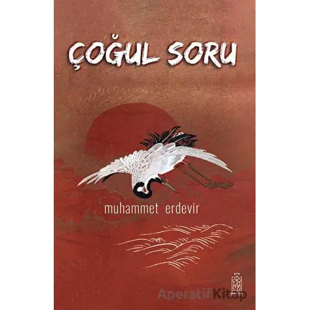 Çoğul Soru - Muhammet Erdevir - Mavi Gök Yayınları