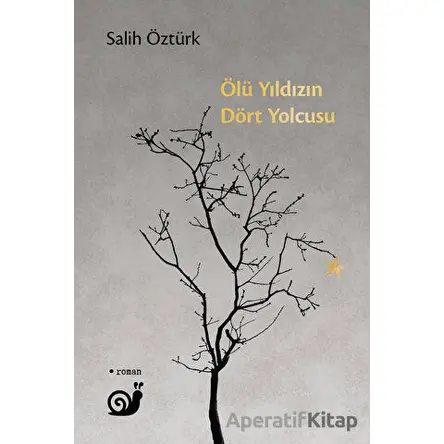 Ölü Yıldızın Dört Yolcusu - Salih Öztürk - Sakin Kitap