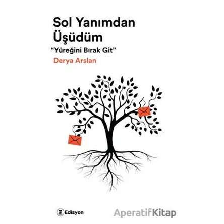 Sol Yanımdan Üşüdüm - Derya Arslan - Edisyon Kitap