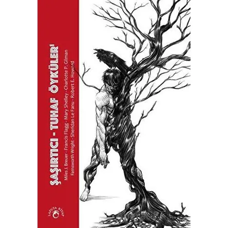 Şaşırtıcı - Tuhaf Öyküler 1 - Kolektif - Laputa Kitap