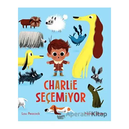Charlie Seçemiyor - Lou Peacock - İlksatır Yayınevi