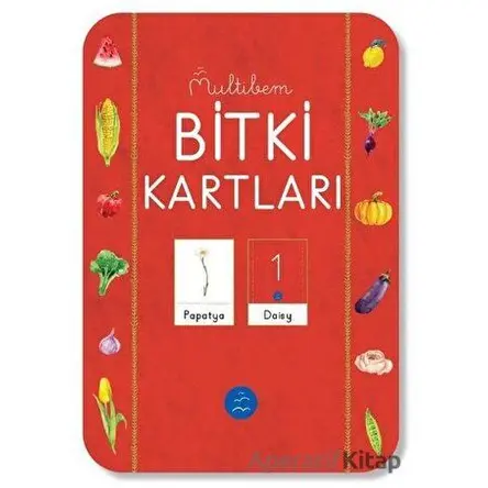 Bitki Kartları - Kolektif - Multibem Yayınları