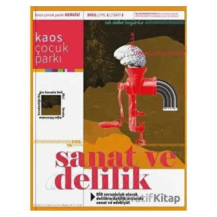 Kaos Çocuk Parkı - Sanat Ve Delilik Yıl:1 Sayı:1 2022 - Kaos Çocuk Parkı Yayınları