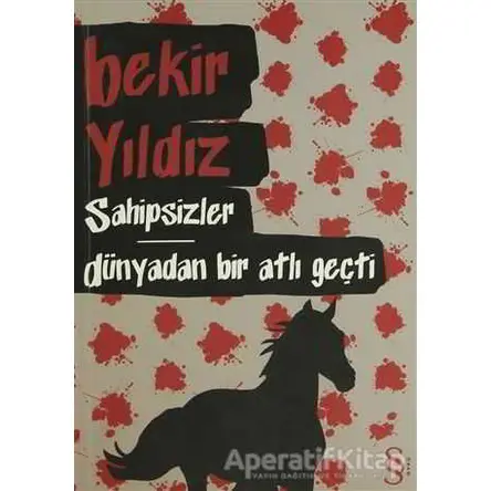 Sahipsizler - Dünyadan Bir Atlı Geçti - Bekir Yıldız - Everest Yayınları