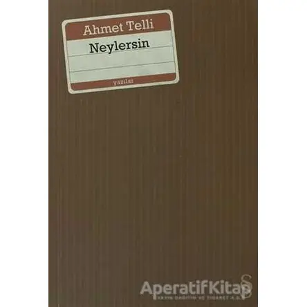 Neylersin - Ahmet Telli - Everest Yayınları
