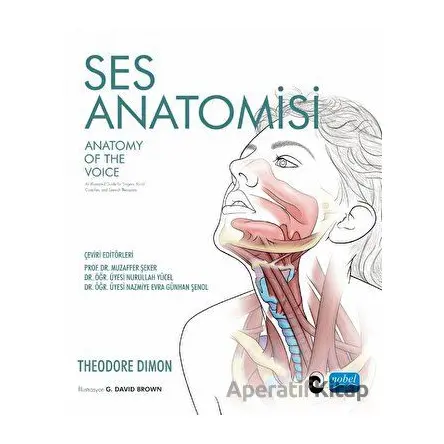 Ses Anatomisi - Theodore Dimon - Nobel Akademik Yayıncılık