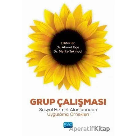 Grup Çalışması - Ahmet Ege - Nobel Akademik Yayıncılık