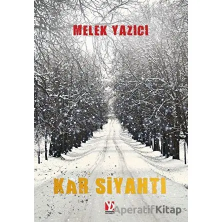 Kar Siyahtı - Melek Yazıcı - Yazardan Direkt Yayınevi