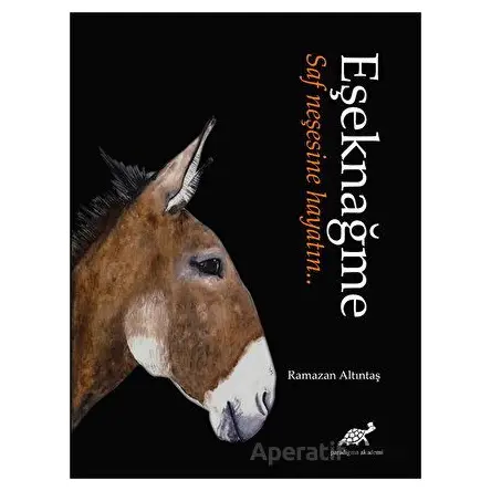 Eşeknağme - Ramazan Altıntaş - Paradigma Akademi Yayınları