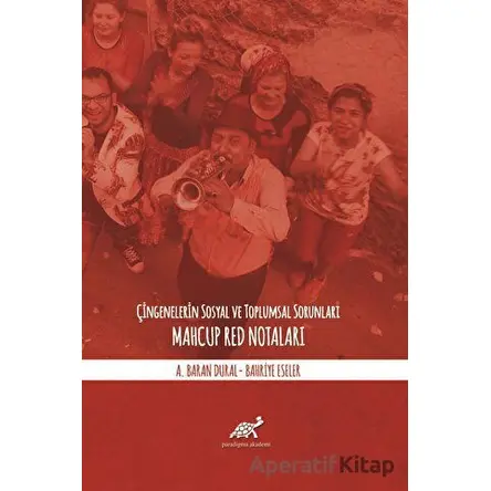 Çingenelerin Sosyal ve Toplumsal Sorunları - A. Baran Dural - Paradigma Akademi Yayınları
