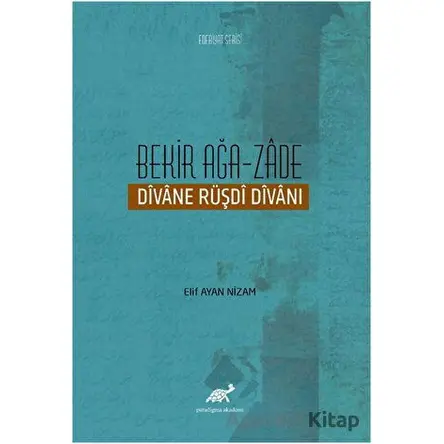 Bekir Ağa-Zade - Elif Ayan Nizam - Paradigma Akademi Yayınları