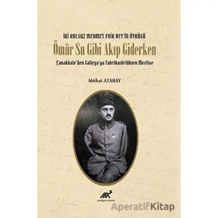 Ömür Su Gibi Akıp Giderken - Mithat Atabay - Paradigma Akademi Yayınları