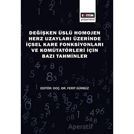 Değişken Üslü Homojen Herz Uzayları Üzerinde İçsel Kare Fonksiyonları ve Komütatörleri İçin Bazı Tah