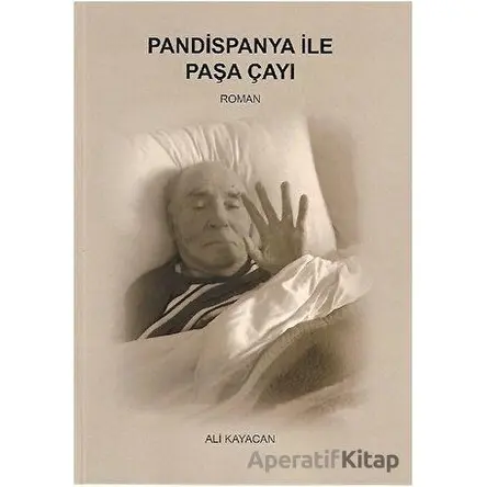 Pandispanya İle Paşa Çayı - Ali Kayacan - Deka Yayınları