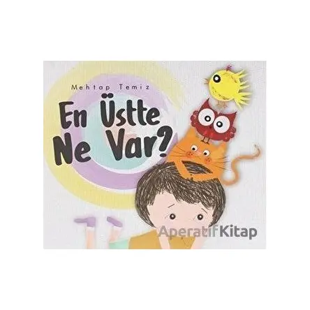 En Üstte Ne Var? - Mehtap Temiz - Parmak Çocuk Yayınları