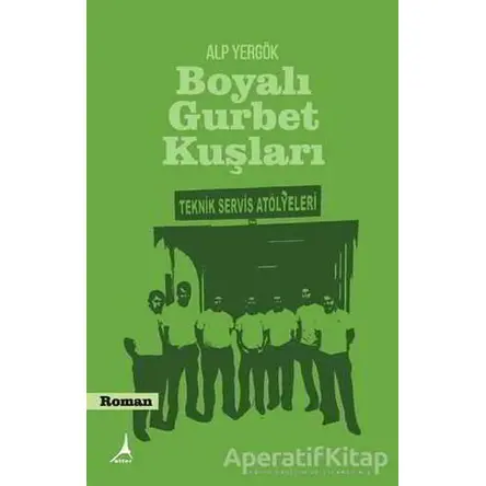 Boyalı Gurbet Kuşları - Alp Yergök - Alter Yayıncılık
