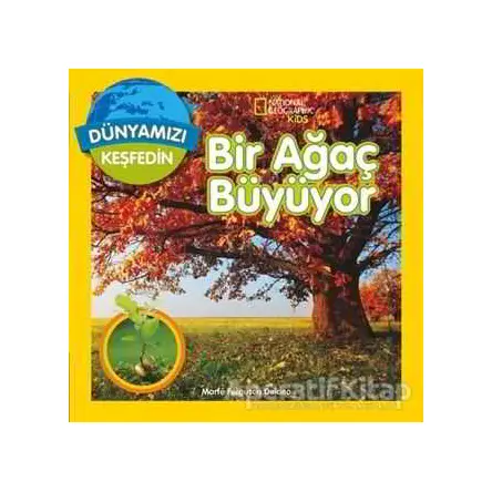 Dünyamızı Keşfedin - Bir Ağaç Büyüyor - Marfe Ferguson Delano - Beta Kids