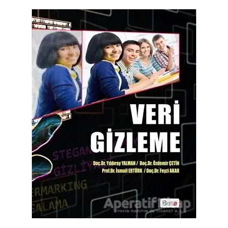 Veri Gizleme - Özdemir Çetin - Beta Yayınevi