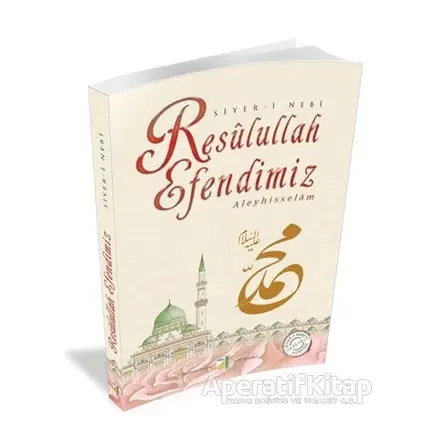 Resulullah Efendimiz Aleyhisselam - Şerif Benekçi - Damla Yayınevi