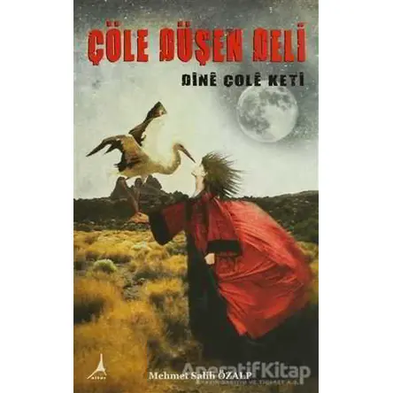 Çöle Düşen Deli - Dine Çole Keti - Mehmet Salih Özalp - Alter Yayıncılık