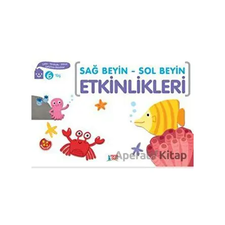 Sağ Beyin - Sol Beyin Etkinlikleri (6 Yaş) - Elif Konar - Minik Ada