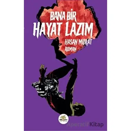 Bana Bir Hayat Lazım - Hasan Murat - Nar Ağacı Yayınları