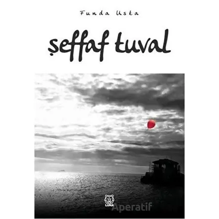 Şeffaf Tuval - Funda Usta - Luna Yayınları