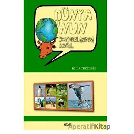 Dünya Onun Boynuzlarında Değil - Esila Tekkeşin - Kitap72 Yayınları