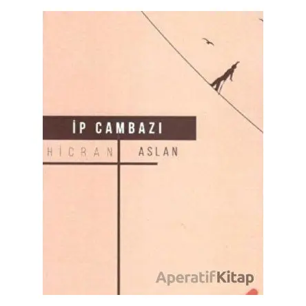 İp Cambazı - Hicran Aslan - Klaros Yayınları