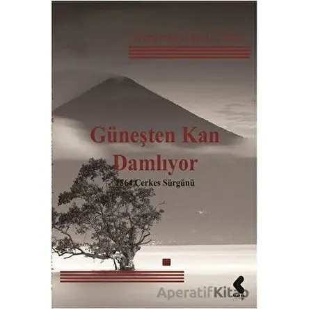 Güneşten Kan Damlıyor - Neriman Aşkın Tekin - Klaros Yayınları